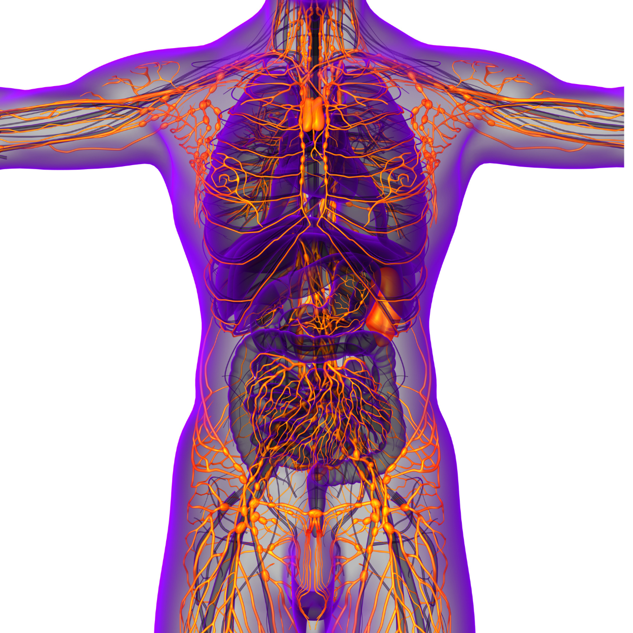LYMPHATIC WELLNESS