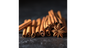 Cinnamon Cigars