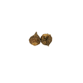 Maca Root