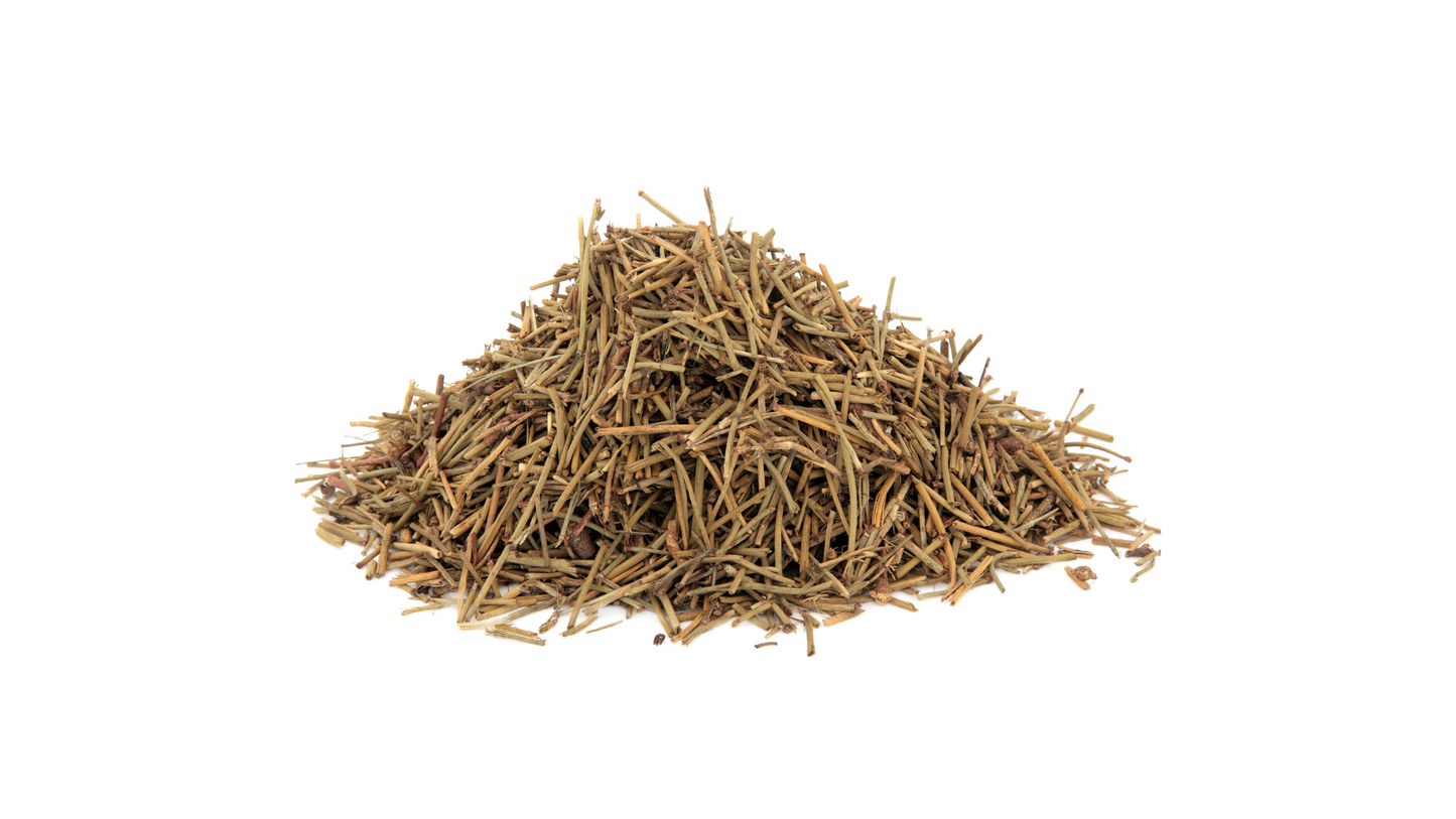 Ephedra Sinica