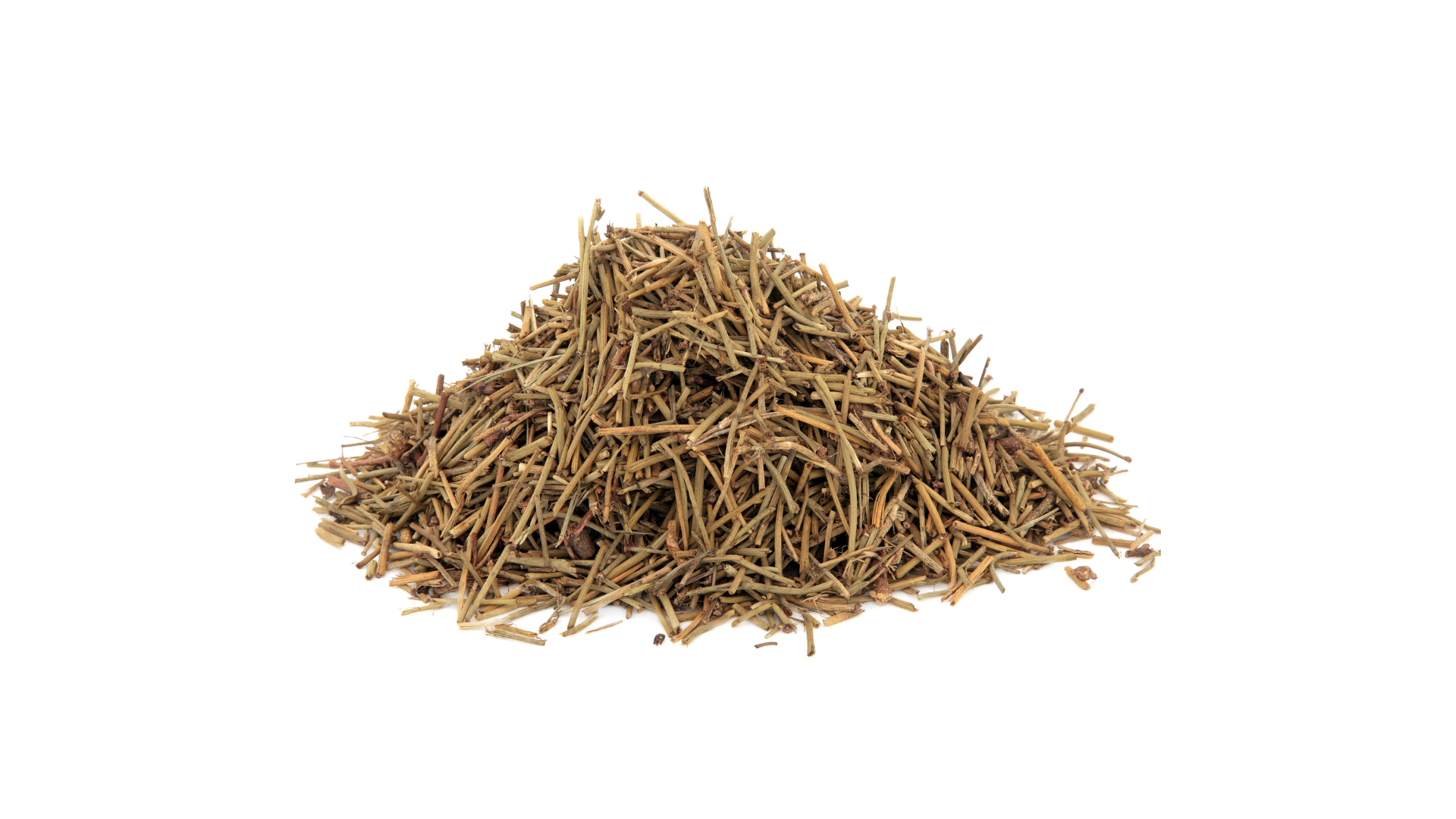 Ephedra Sinica