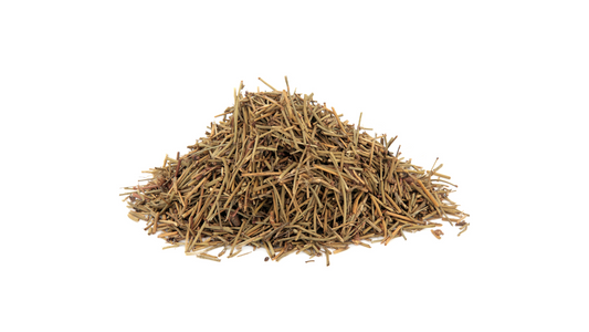 Ephedra Sinica