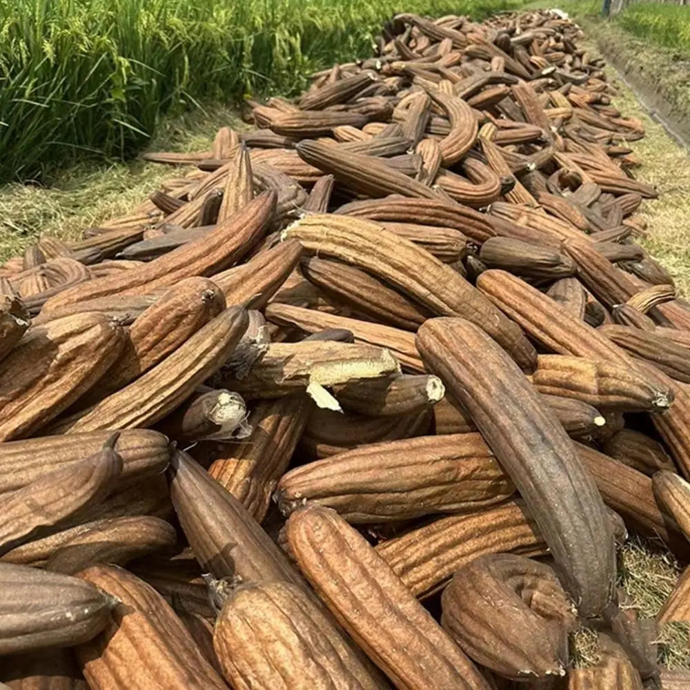 Authentic, Organic Natural Loofah Sponge