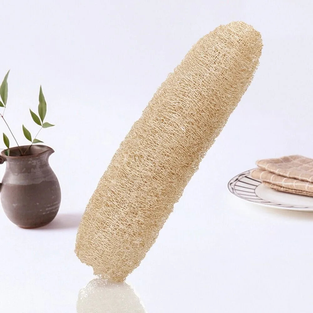 Authentic, Organic Natural Loofah Sponge