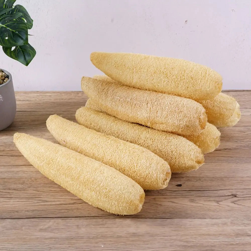 Authentic, Organic Natural Loofah Sponge