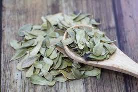 Bearberry Leaf (Uva Ursi)