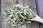 Bearberry Leaf (Uva Ursi)