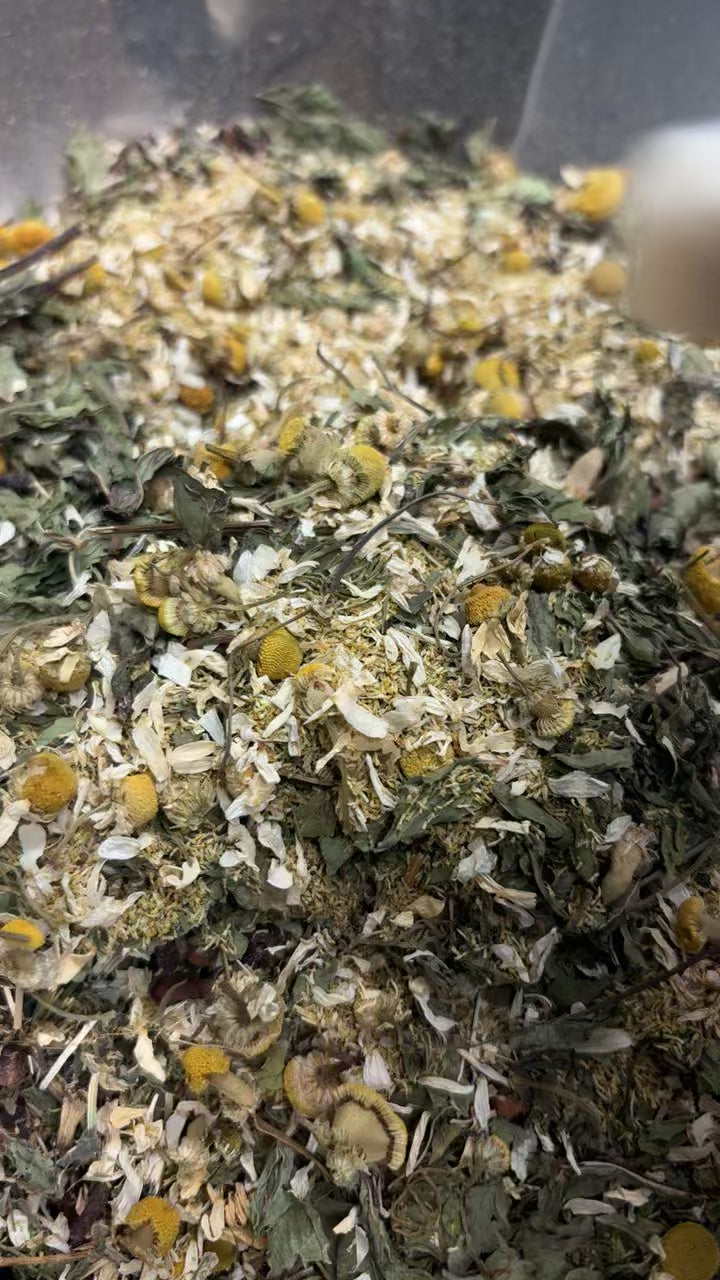 Rooted Digest Digestion Tea