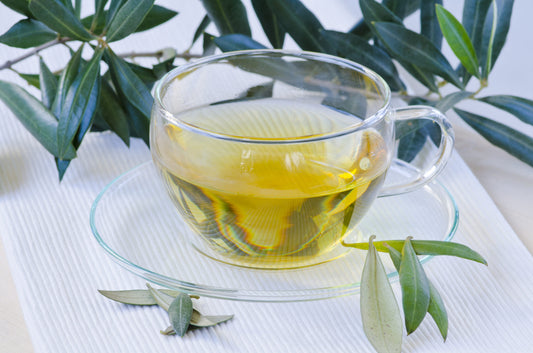 Olive Leaf and Branch Herb